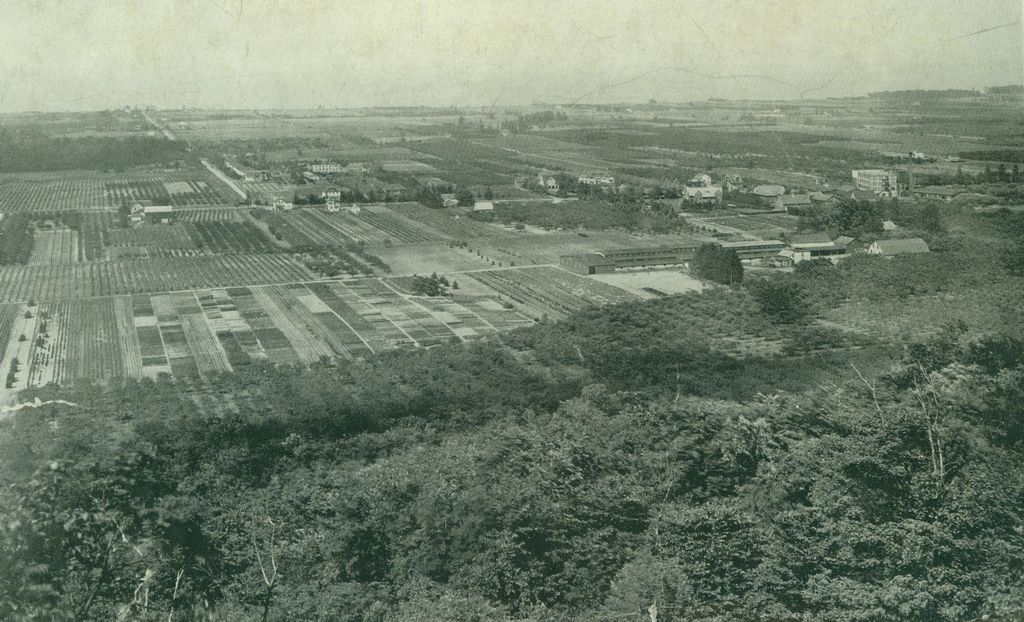 E.D. Smith Nurseries, Winona