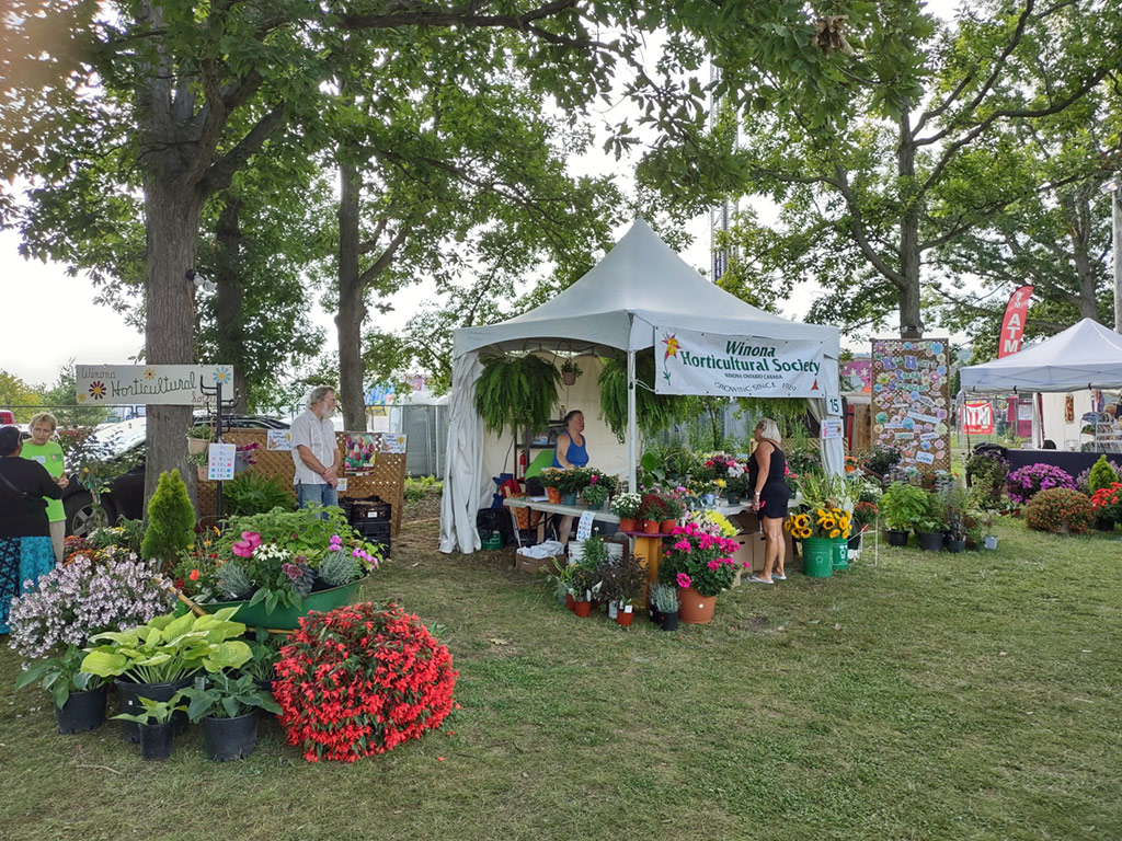 Winona horticultural Society Booth at the Winona Peach Festival